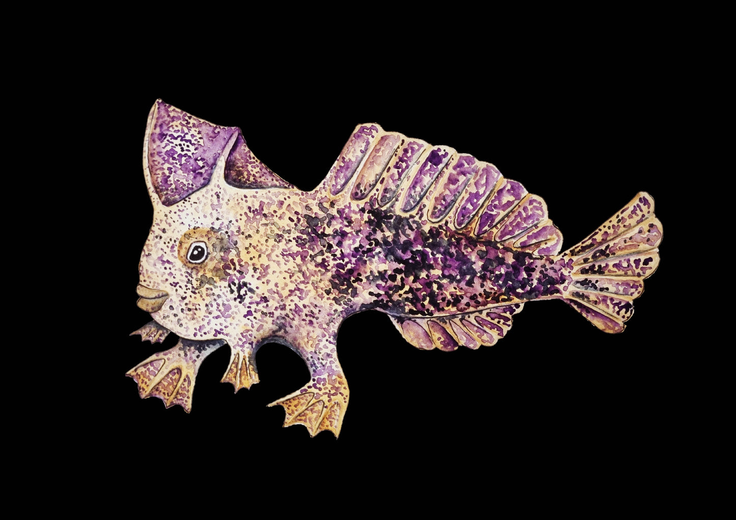 Art Print - Sea Life - Ziebells Handfish