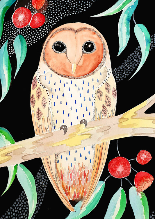 Art Print - Flora and Fauna - Tasmanian Masked Owl