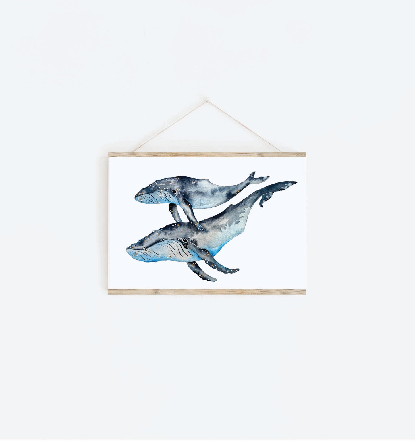 Art Print - Sea Life - Whale Songs
