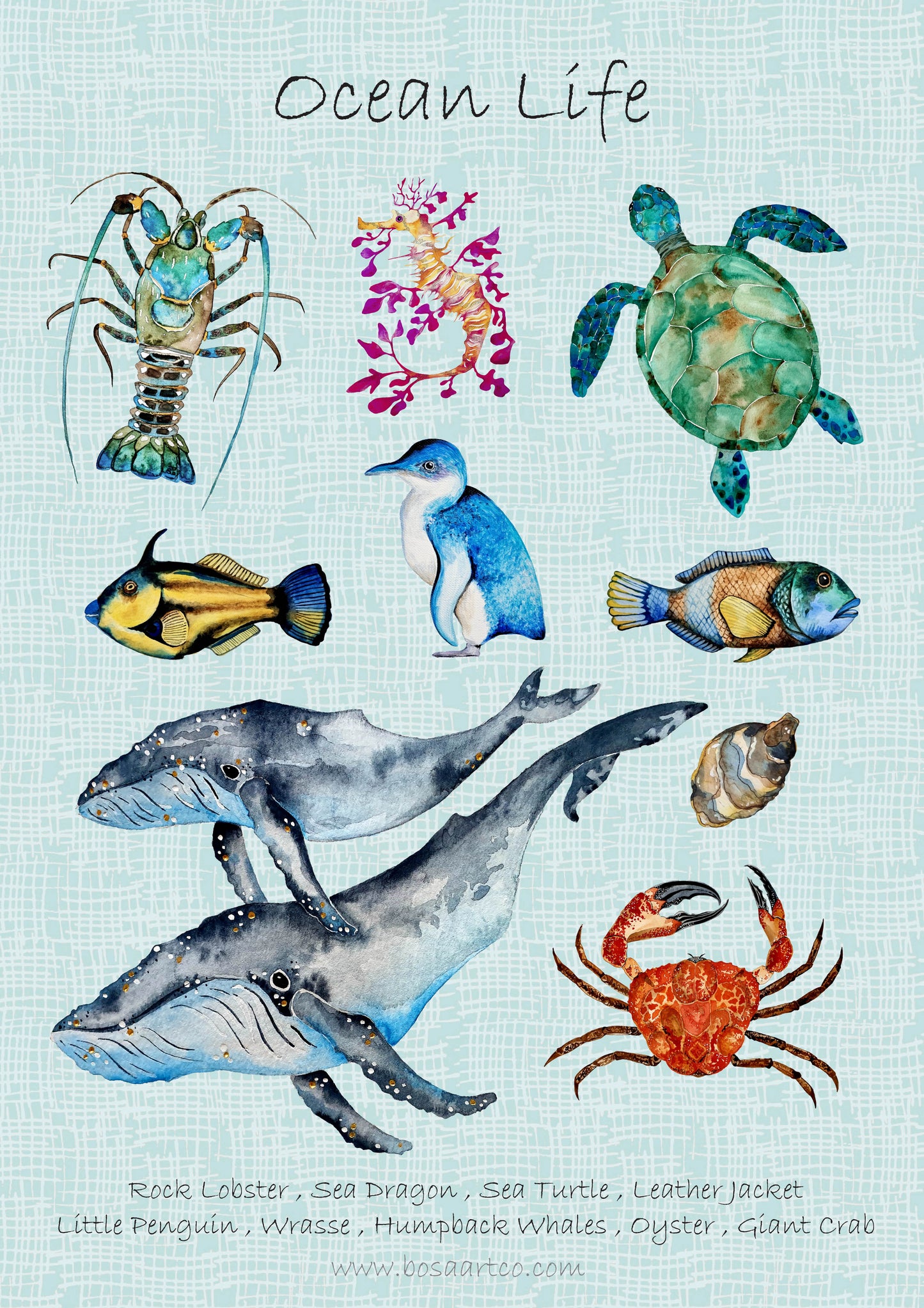 Art Print - Sea Life - Ocean Life