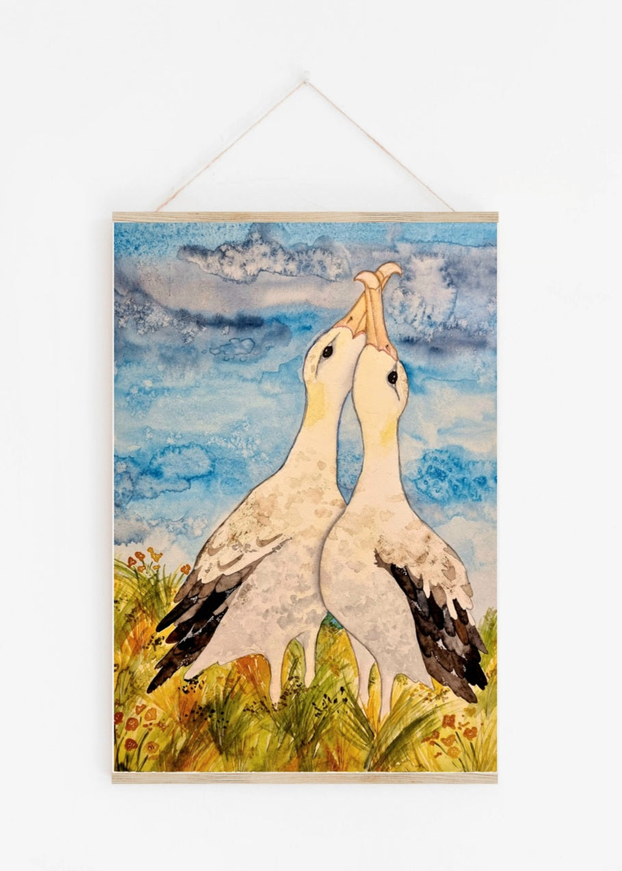 Art Print - Sea Life - Albatros