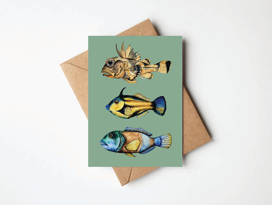 Greeting Card - Trio of Fish