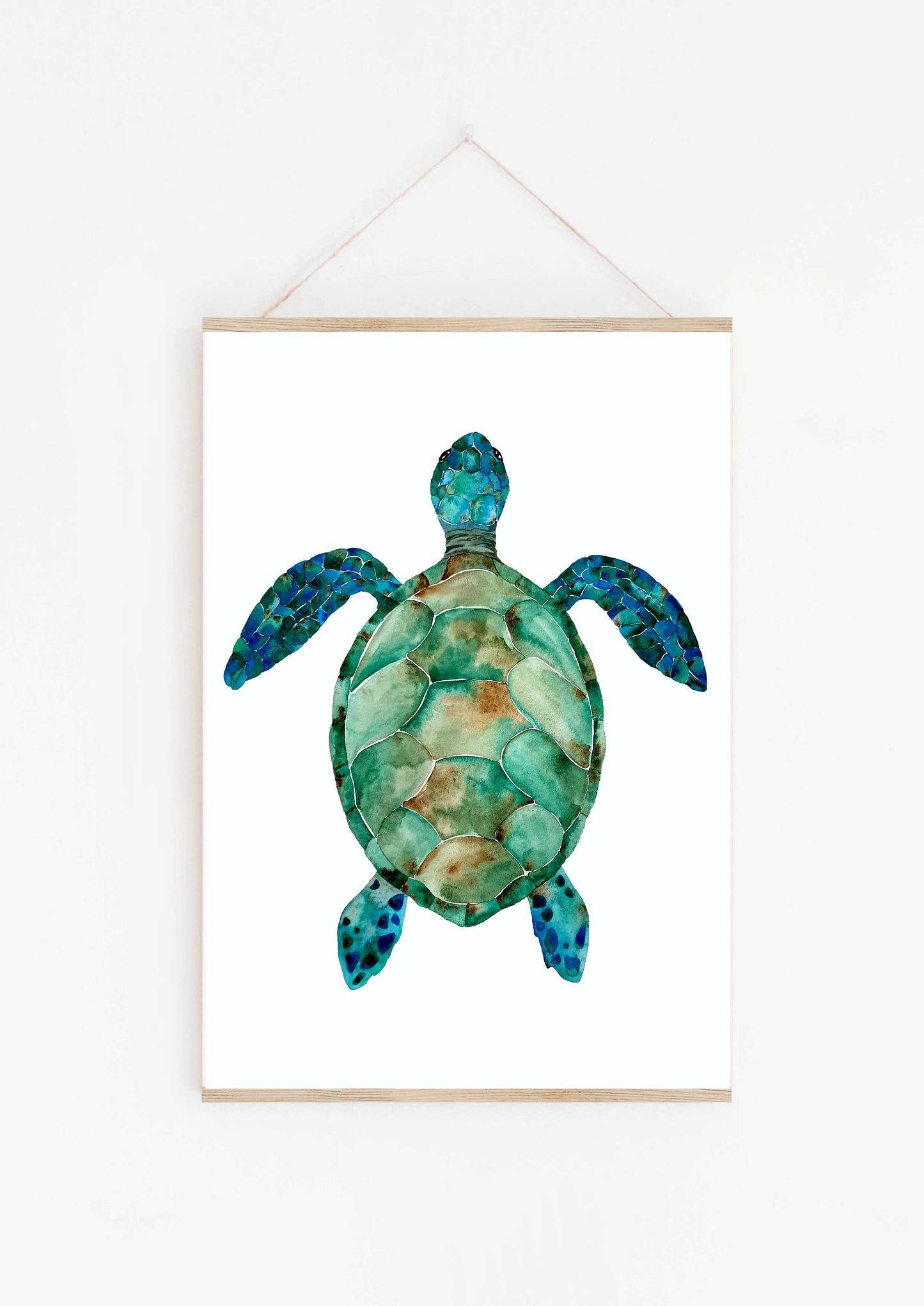 Art Print - Sea Turtle