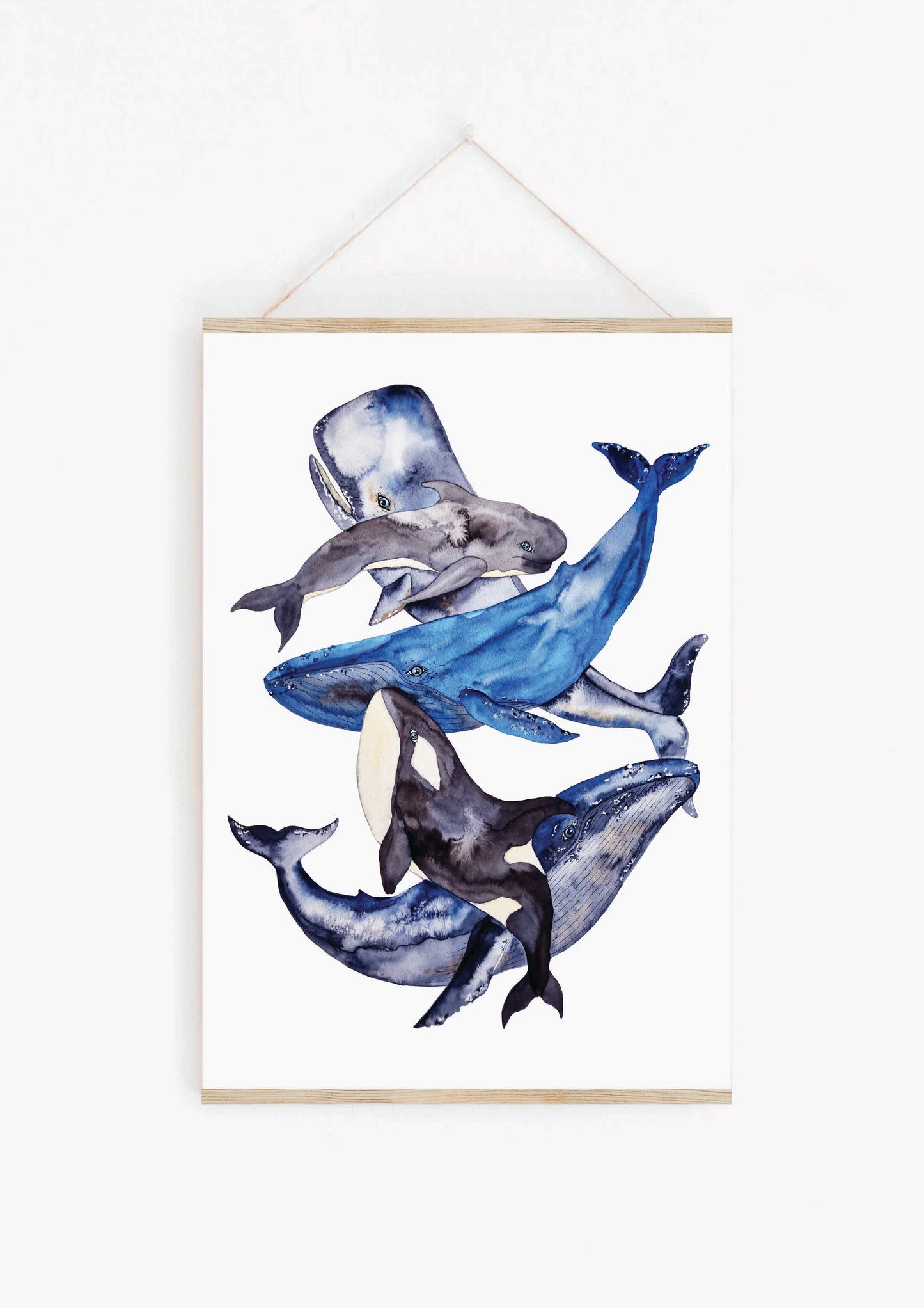 Art Print - Sea Life -  Whale Dance