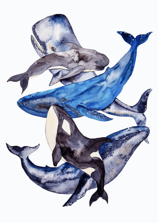 Art Print - Sea Life -  Whale Dance