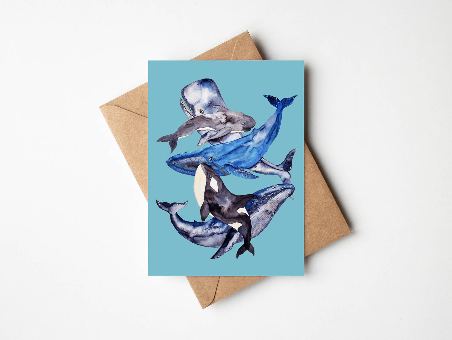 ALL - Ocean Life Greeting Cards