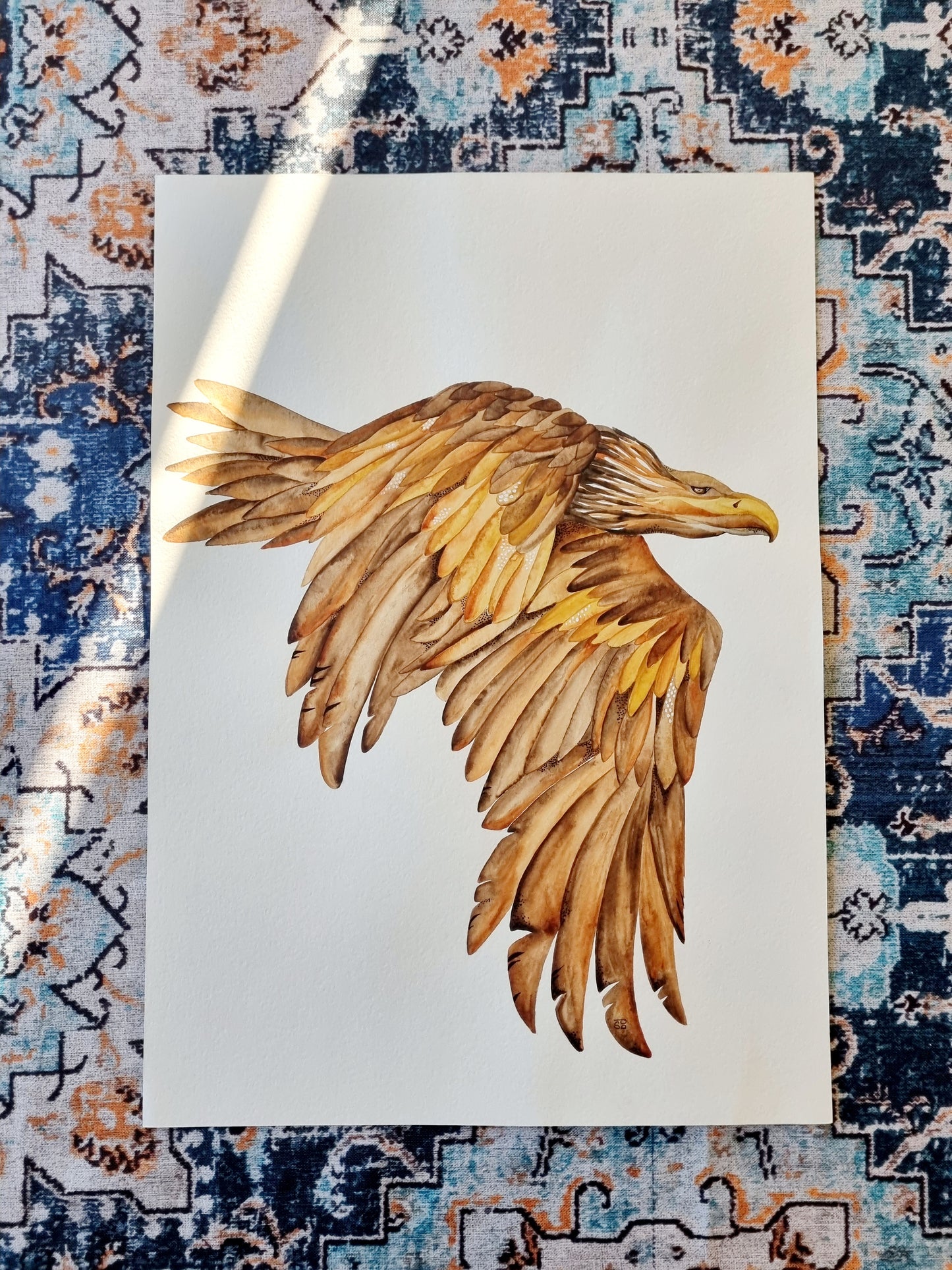 Original Painting - Wedge-tailed Eagle