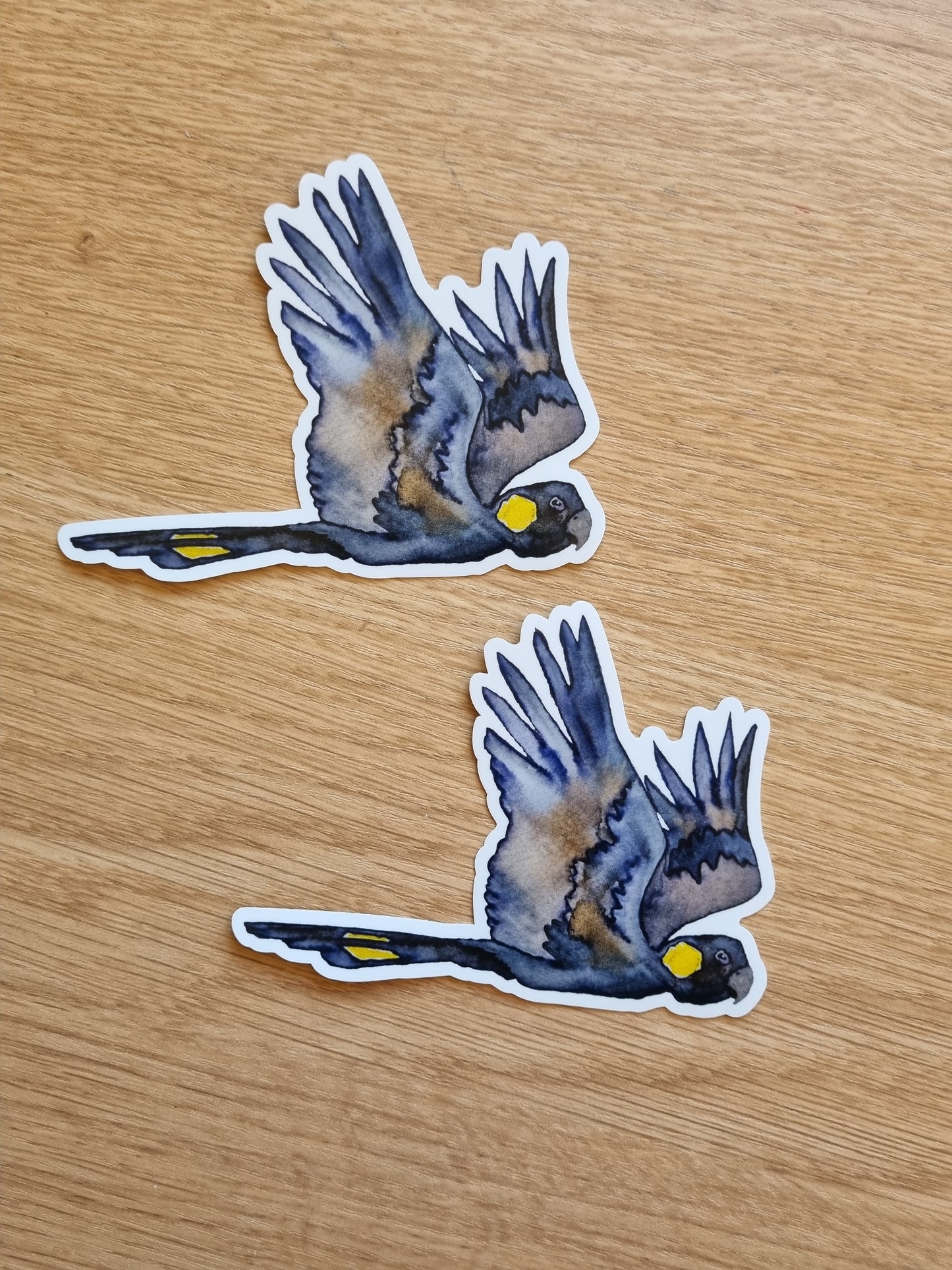Vinyl Sticker - Black Cockatoo