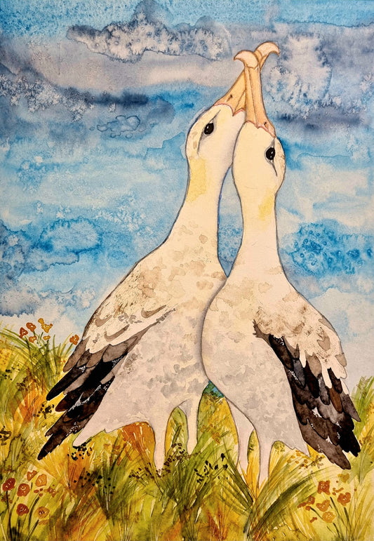 Art Print - Sea Life - Albatros