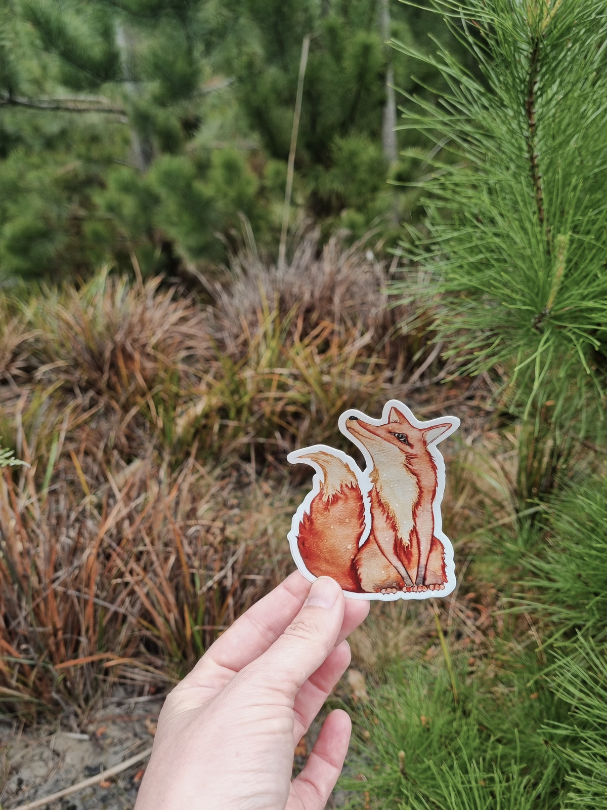 Vinyl Sticker - Fox