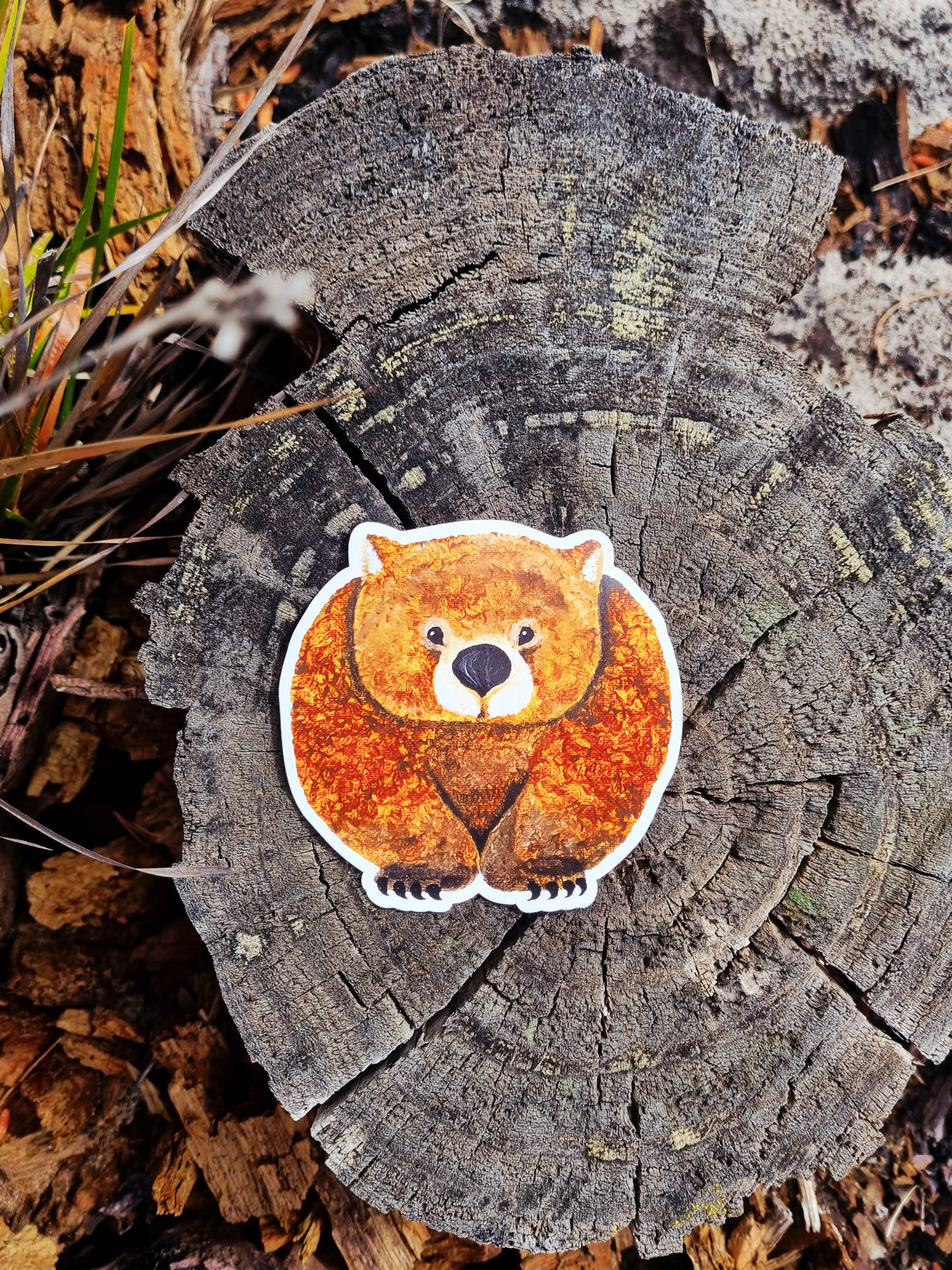 Vinyl Sticker - Wombat