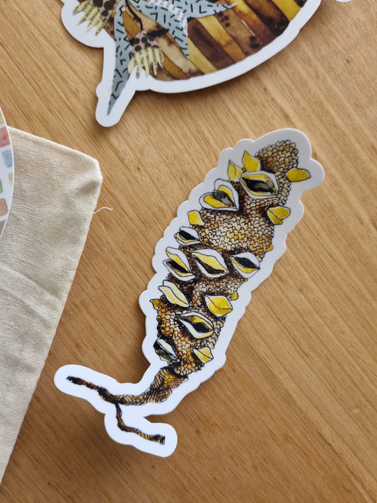 Vinyl Sticker Bundle - Australia