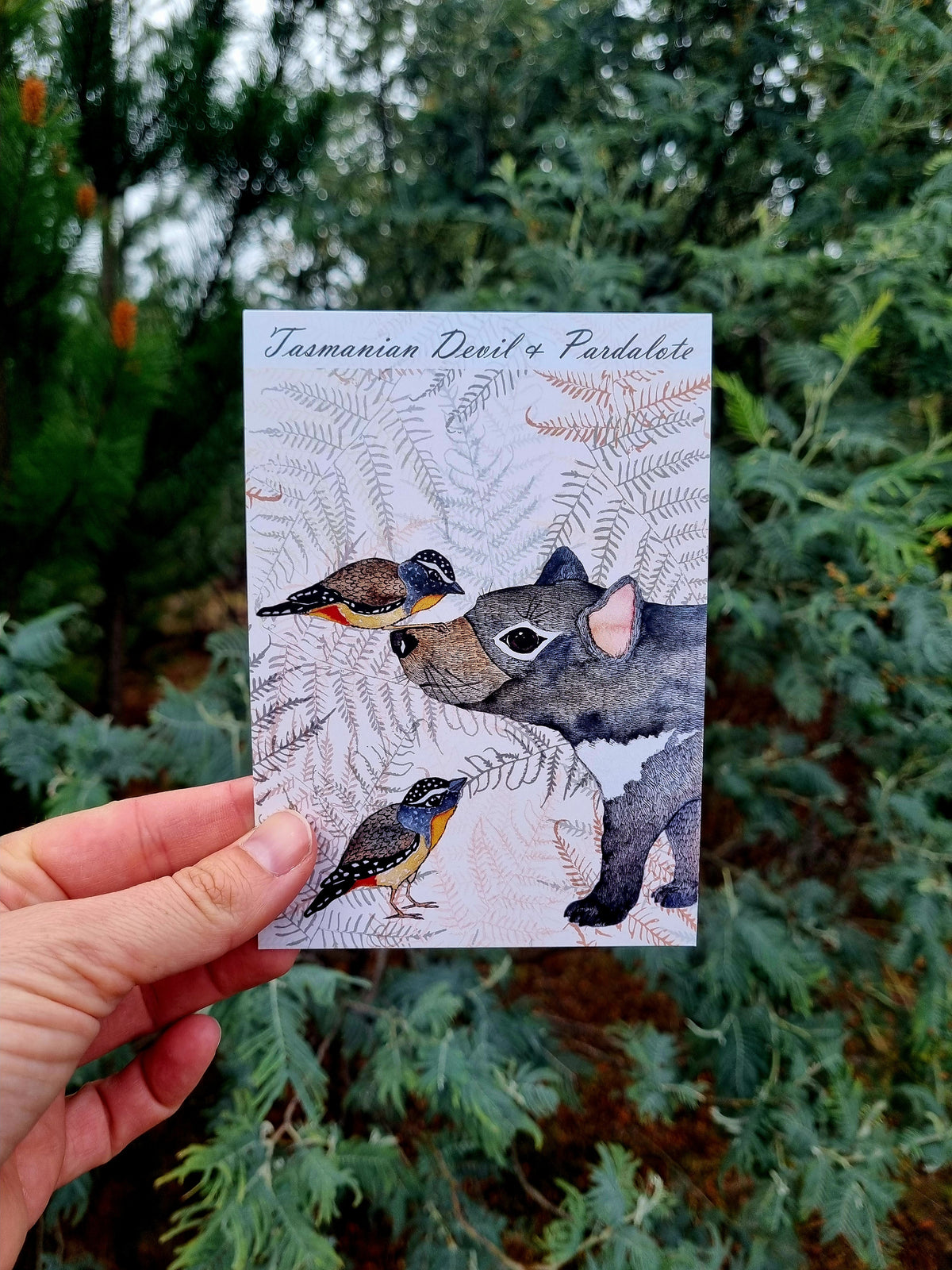 Postcard of Tasmania - Devil & Pardelote