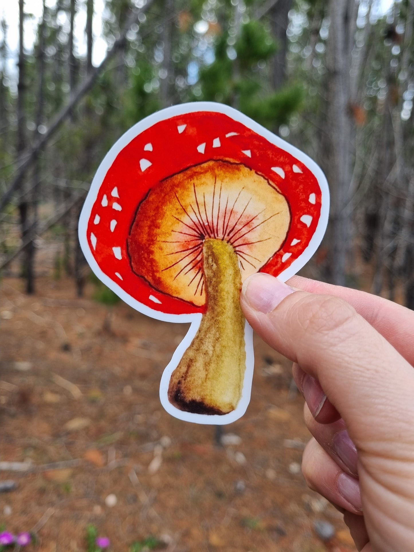 Vinyl Sticker - Mushroom