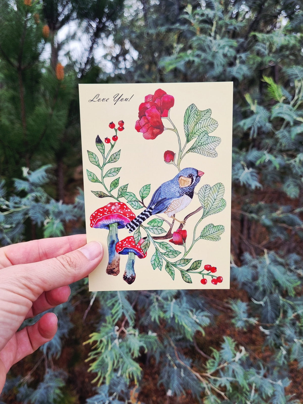 Postcard of Australia - Love you - Zebra Finch