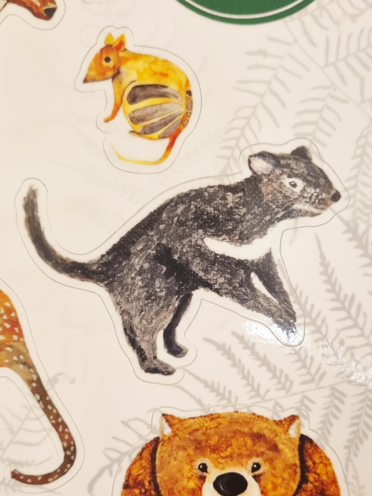 Sticker Sheet - Tasmanian Animals Stickers