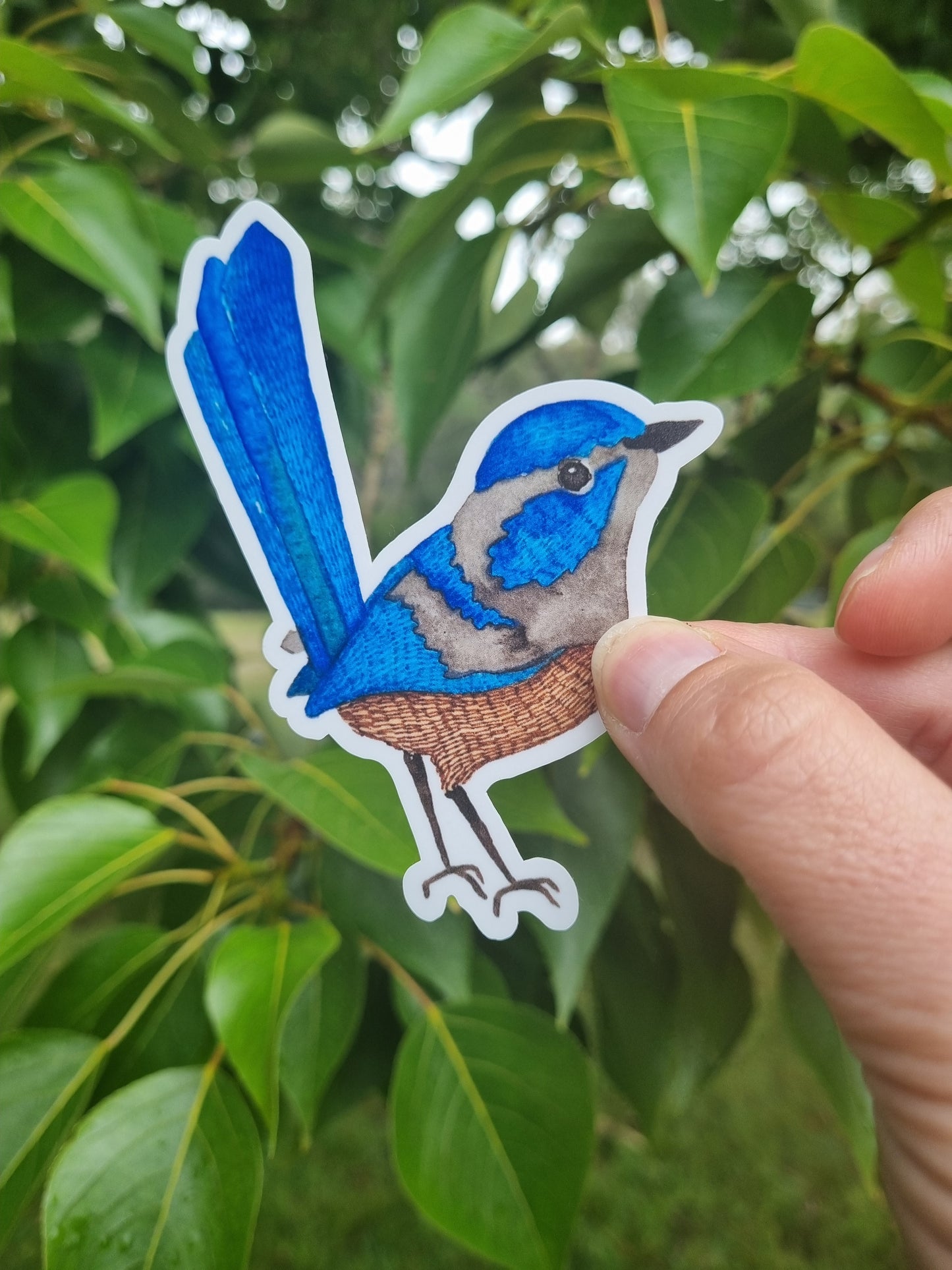 Vinyl Sticker - Blue Fairy Wren