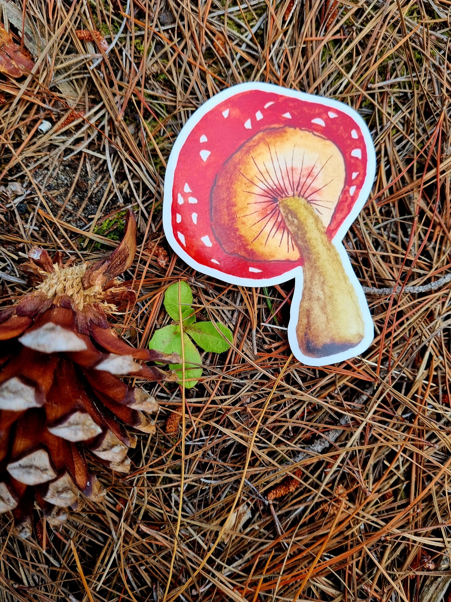 Vinyl Sticker - Mushroom