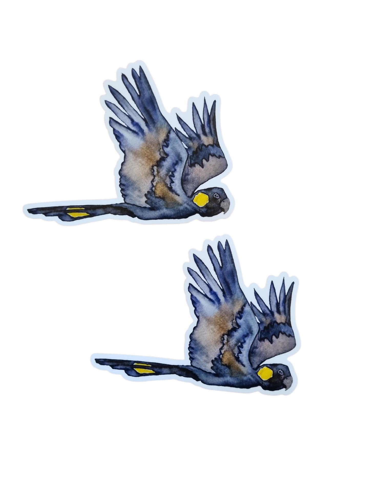 Vinyl Sticker - Black Cockatoo