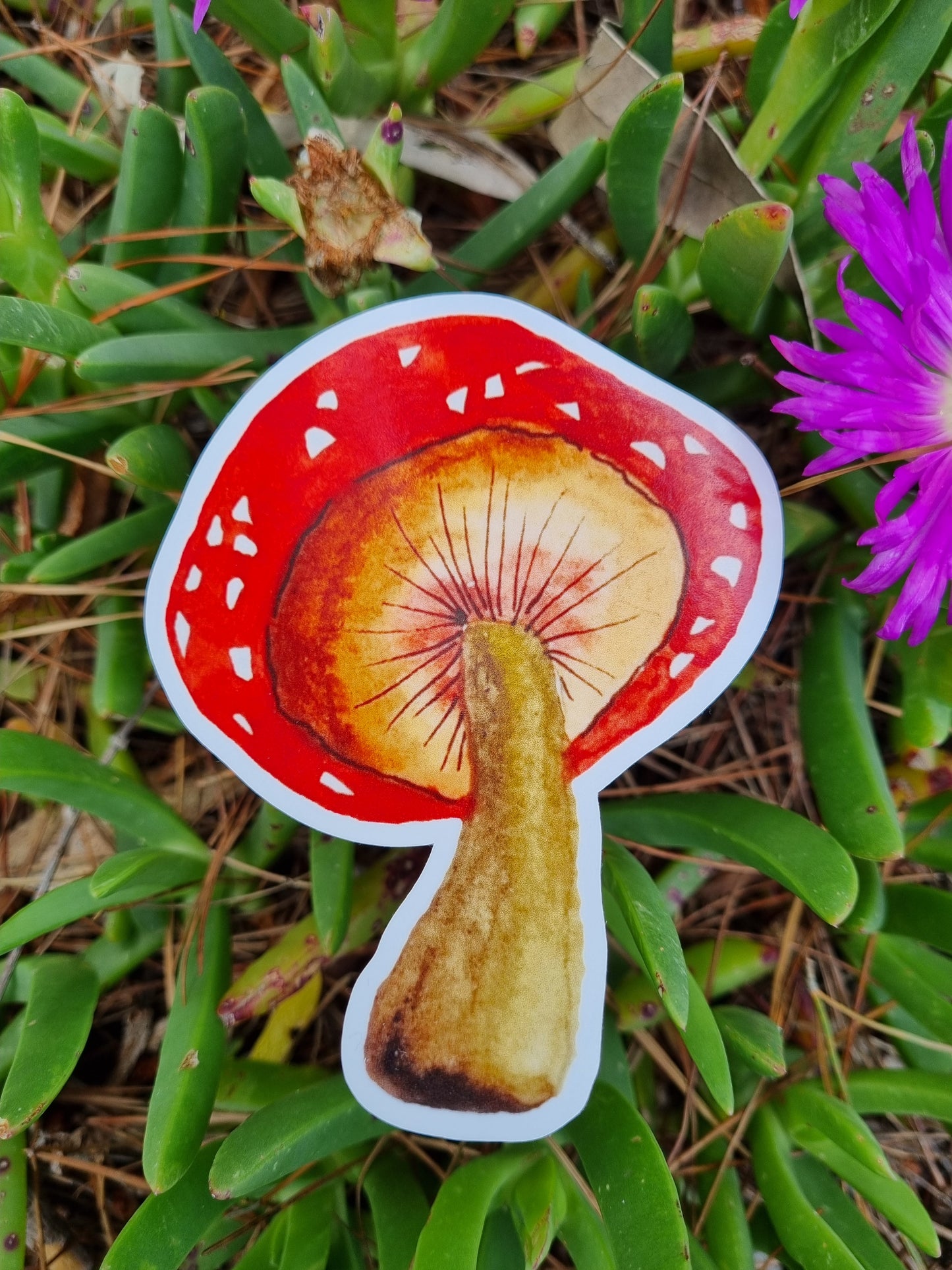 Vinyl Sticker - Mushroom