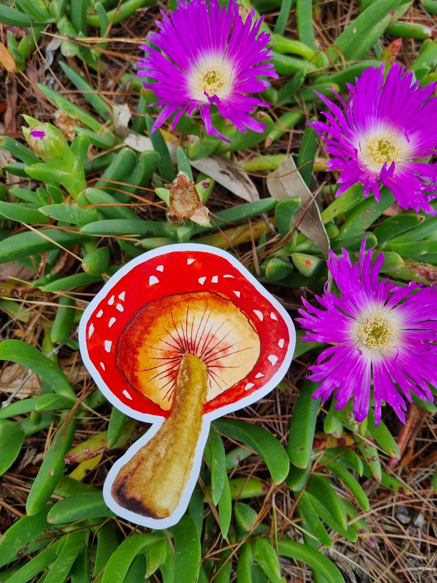 Vinyl Sticker - Mushroom