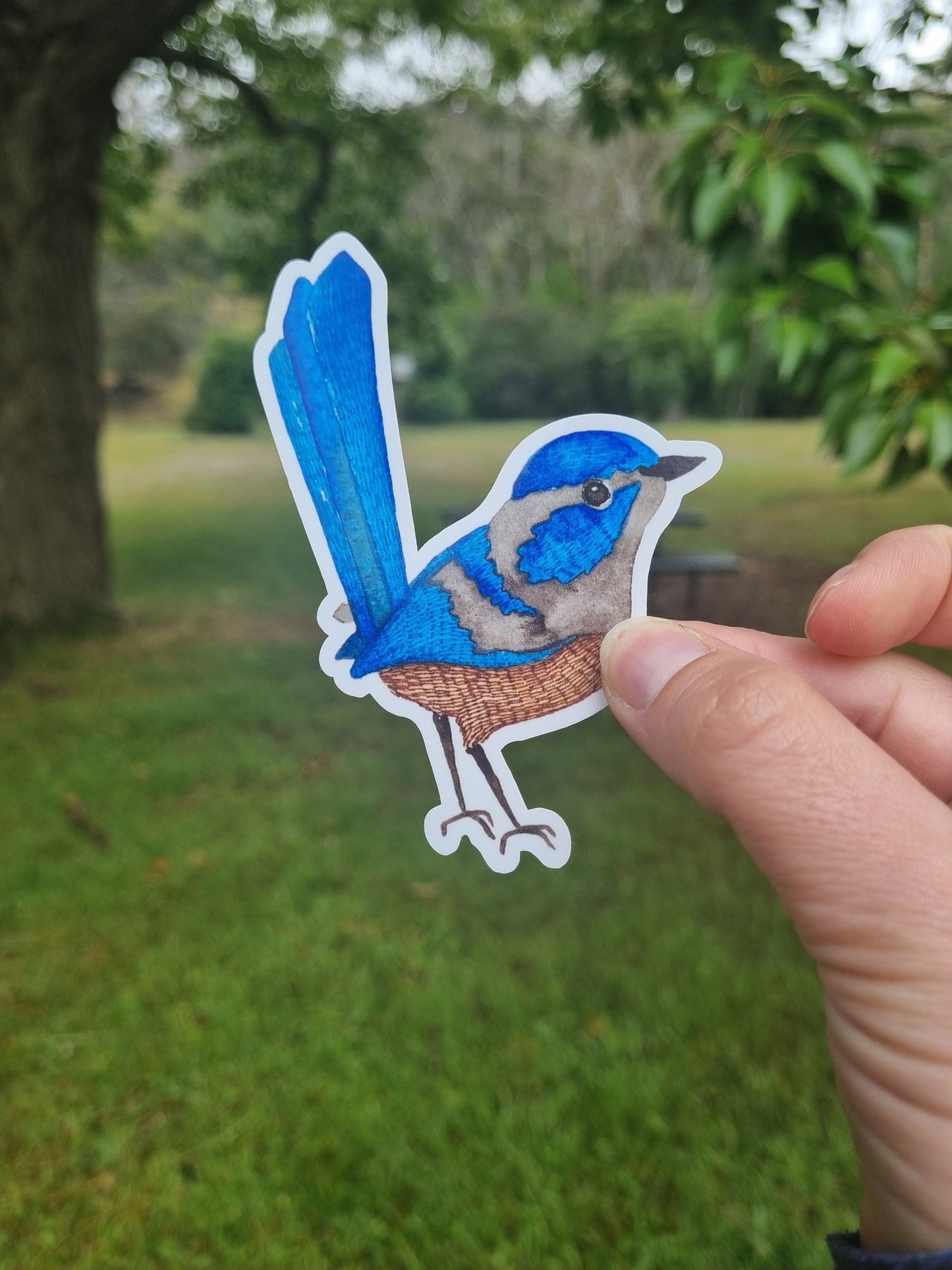 Vinyl Sticker - Blue Fairy Wren