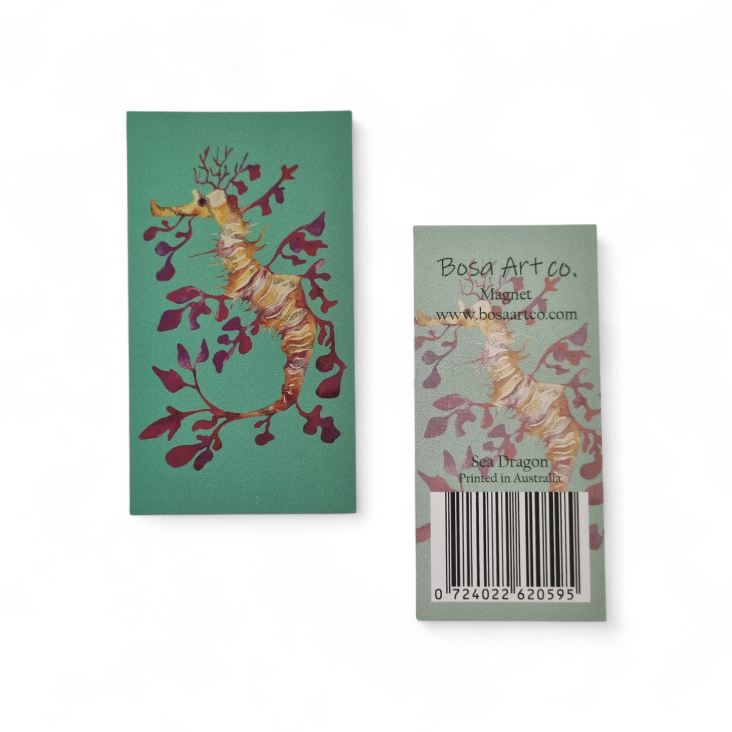 Magnet - Sea Dragon