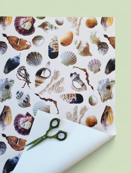 Wrapping Paper - Beach Treasures (Six Sheets)