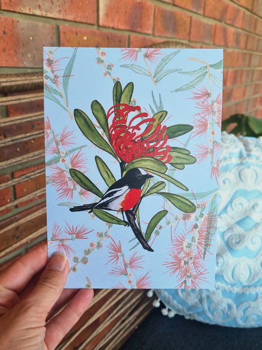 Art Print - Waratah and Scarlet Robin -A5