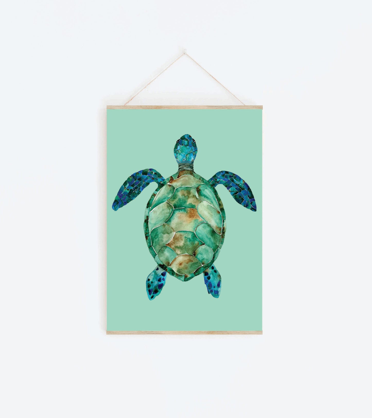 Art Print - Sea Life - Sea Turtle