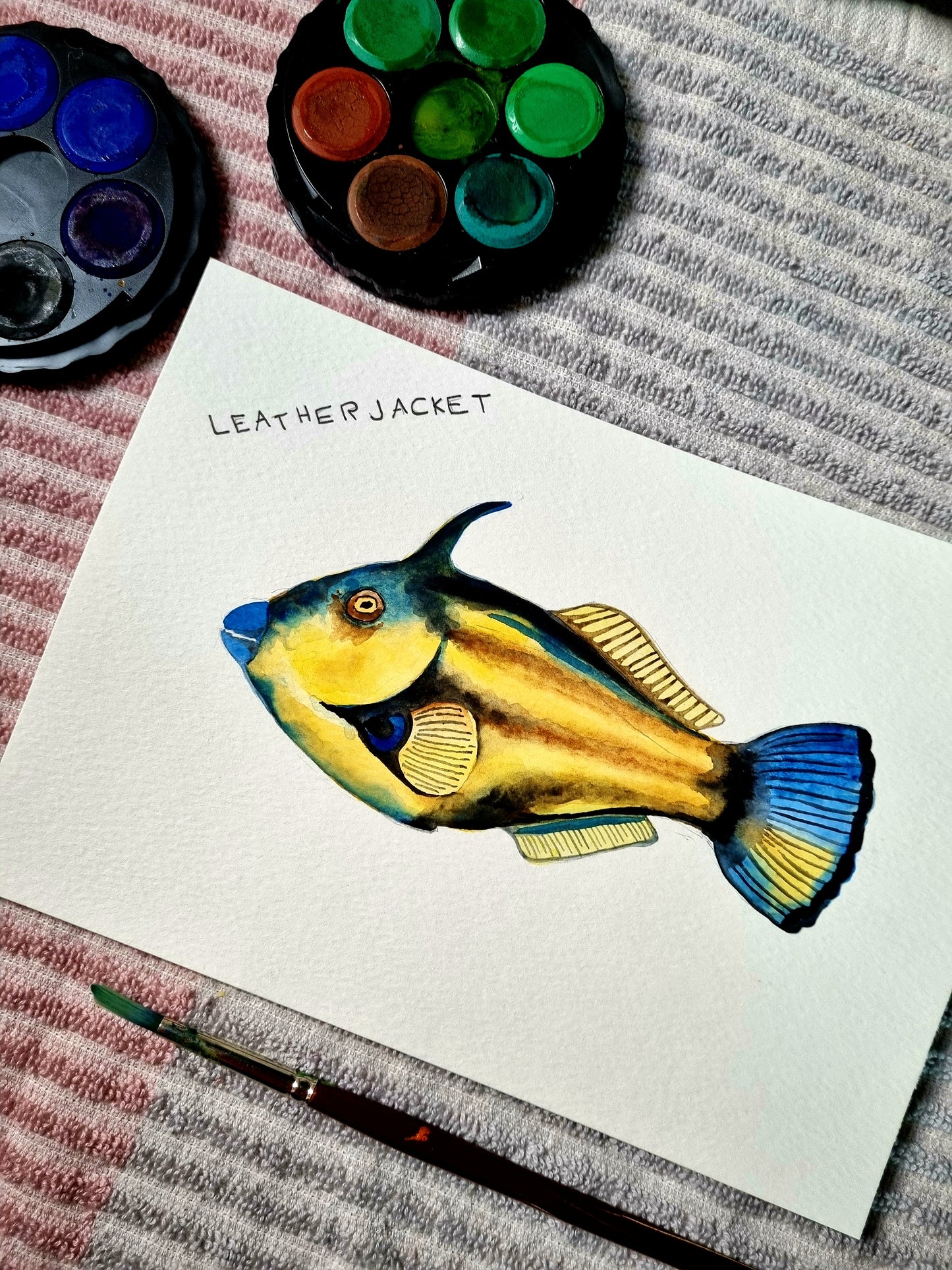 Art Print - Sea Life - Tasmanian Fish