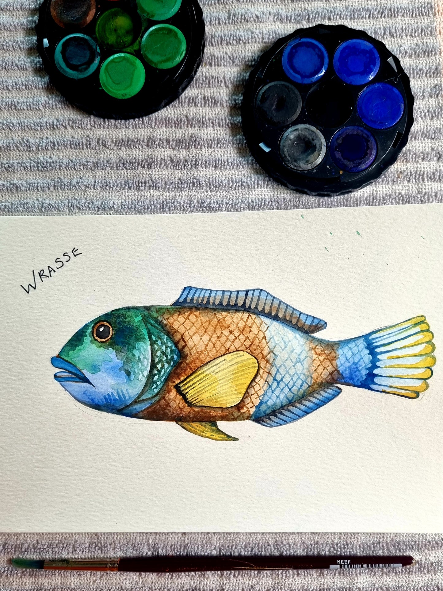 Art Print - Sea Life - Tasmanian Fish