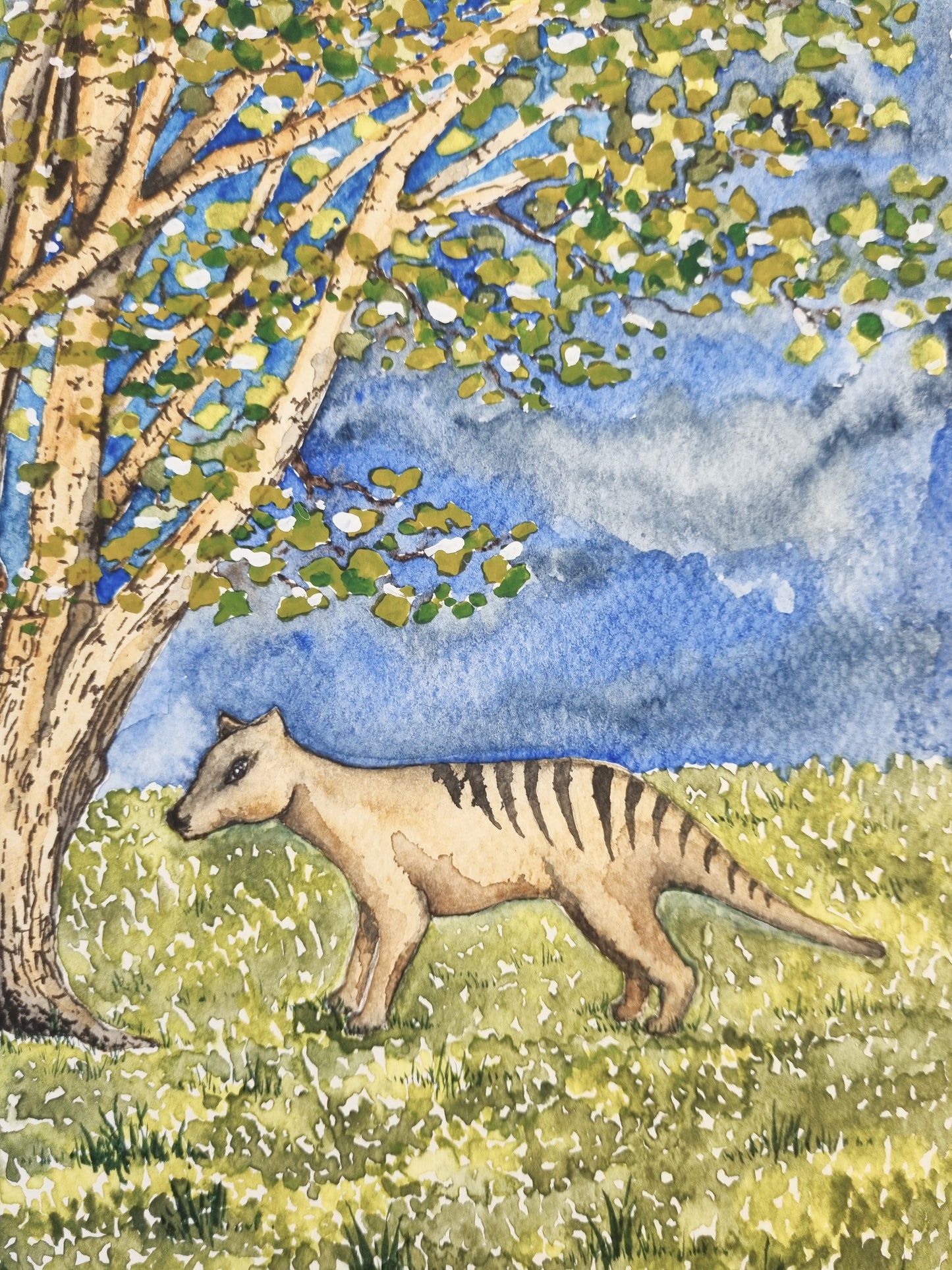 Art Print - Landscapes - Derby Shire Thylacine
