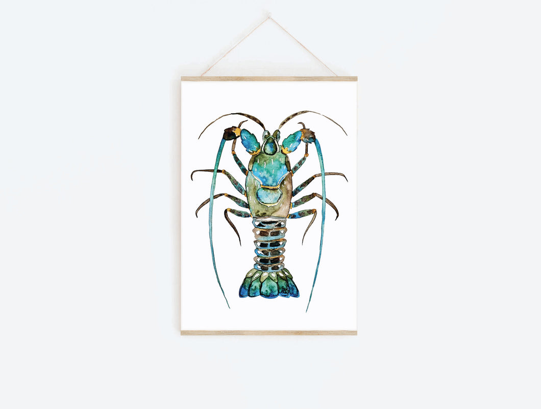 Australian Rock Lobster Art Print