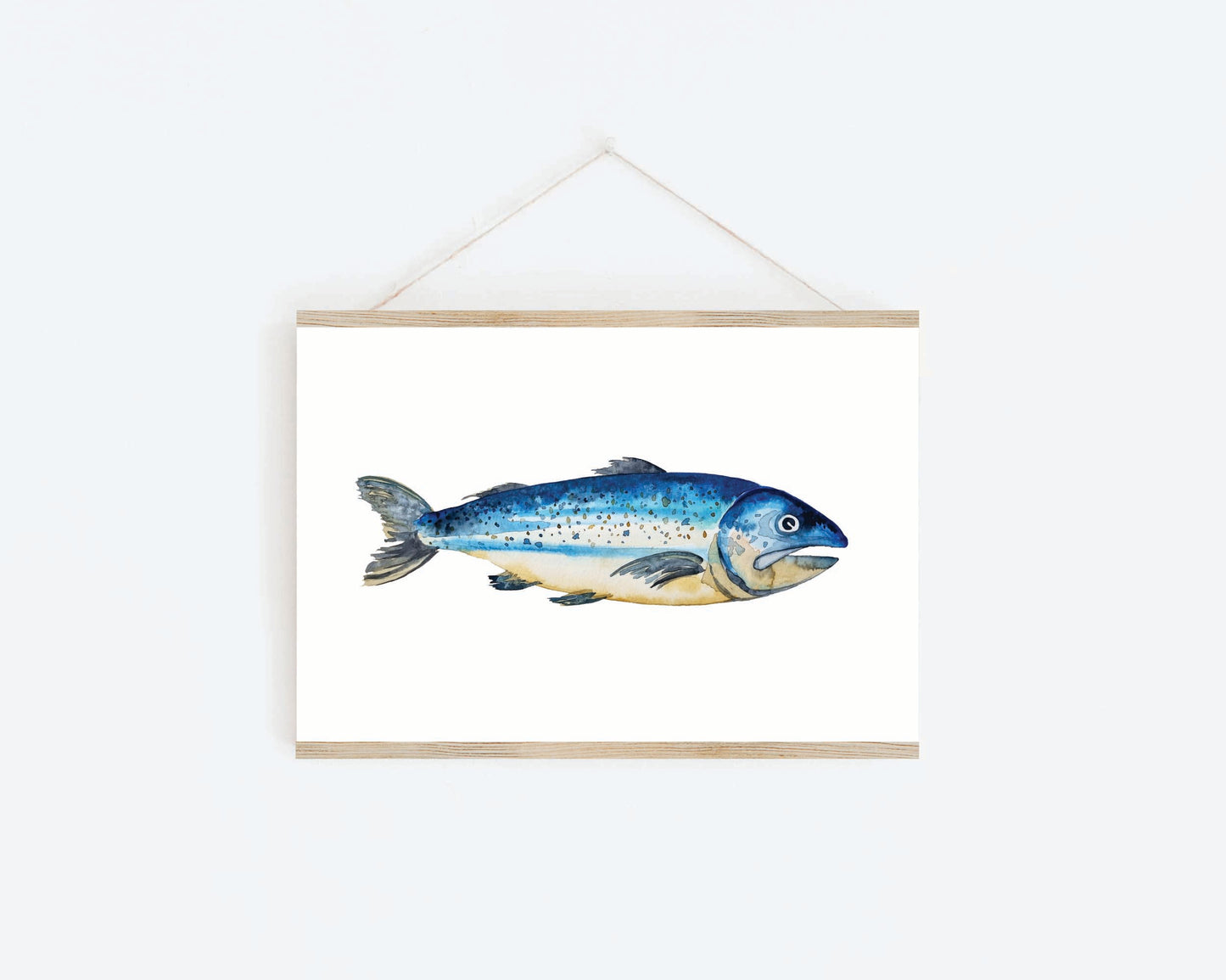 Art Print - Sea Life -  Australian Salmon