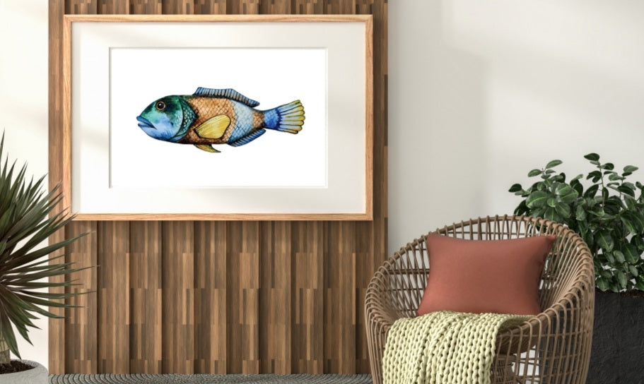 Art Print - Sea Life - Tasmanian Fish